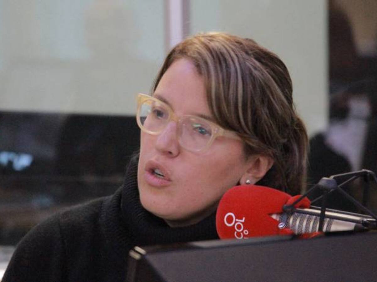 La Procuraduría debería dar los nombres de las campañas: S. Borda