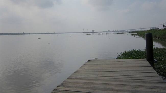 Navelena SAS . Foto: Colprensa