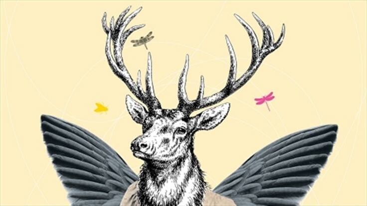 Comienza Ciclo Rosa 2015 en Bogotá