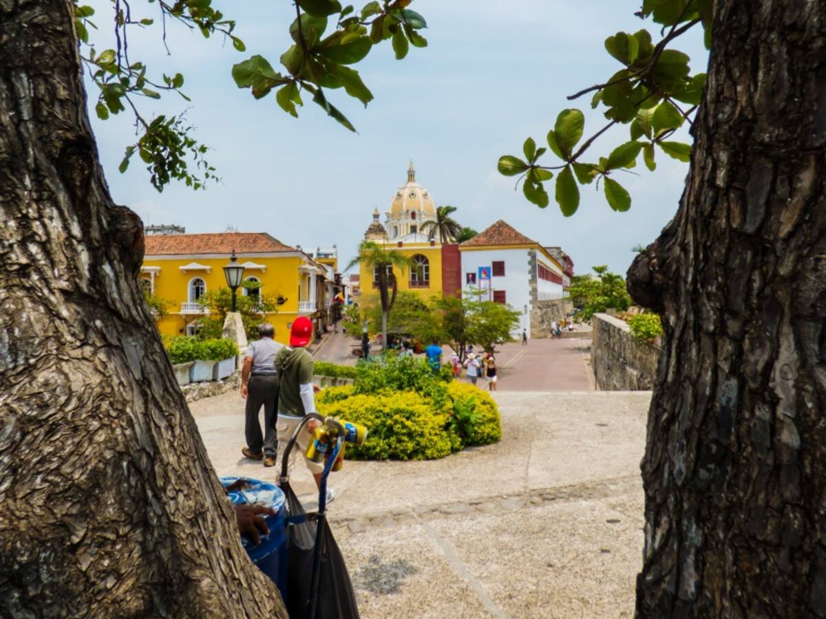 'No conocí el palma': el festival que resalta la ciudad de Barranquilla