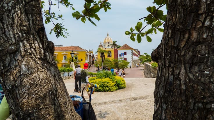 'No conocí el palma': el festival que resalta la ciudad de Barranquilla
