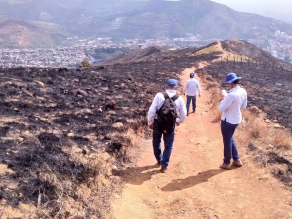 CVC instalará cámaras térmicas para vigilancia de los cerros de Cali