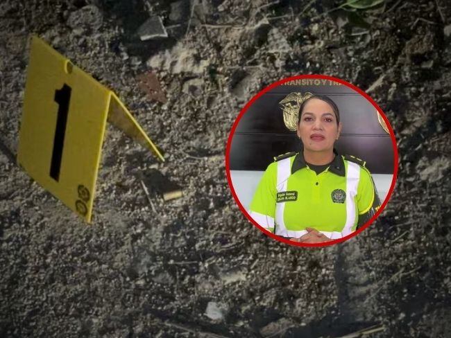 Asesinan al hermano de la directora de Tránsito de la Policía Nacional en el sur de Bogotá