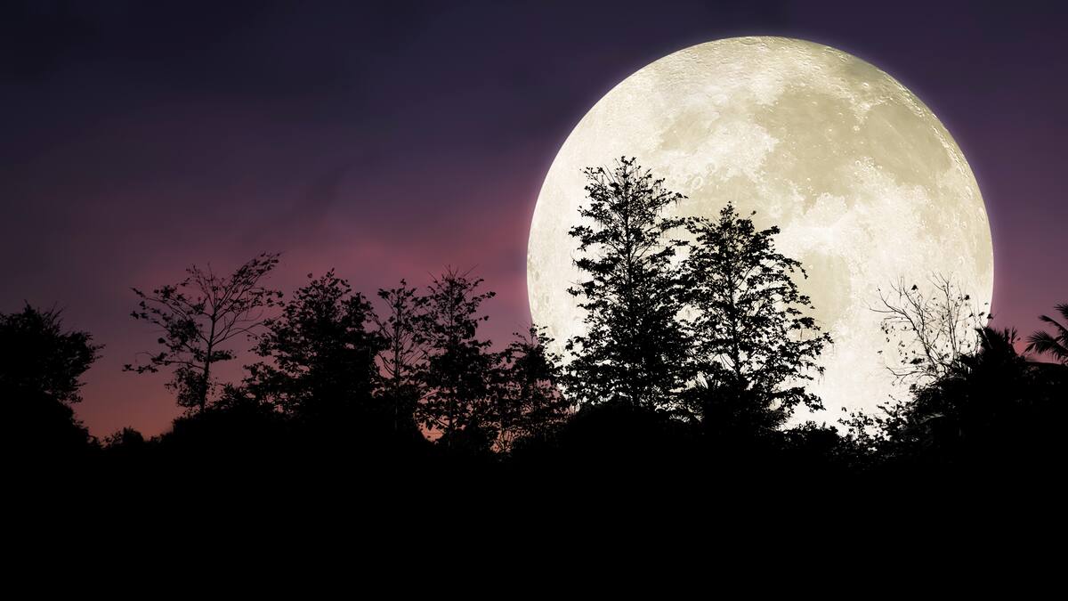 Luna Fría 2024: Cómo y cuándo ver la última luna llena del año 2024