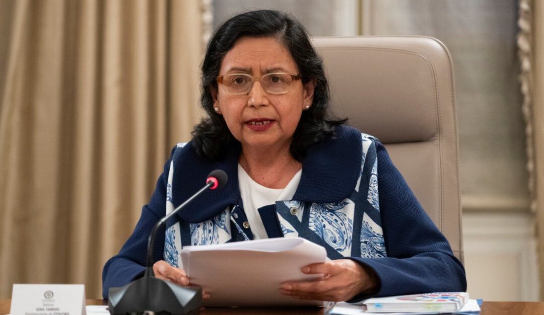 Doctora Gina Tambini, representante de OMS en Colombia 