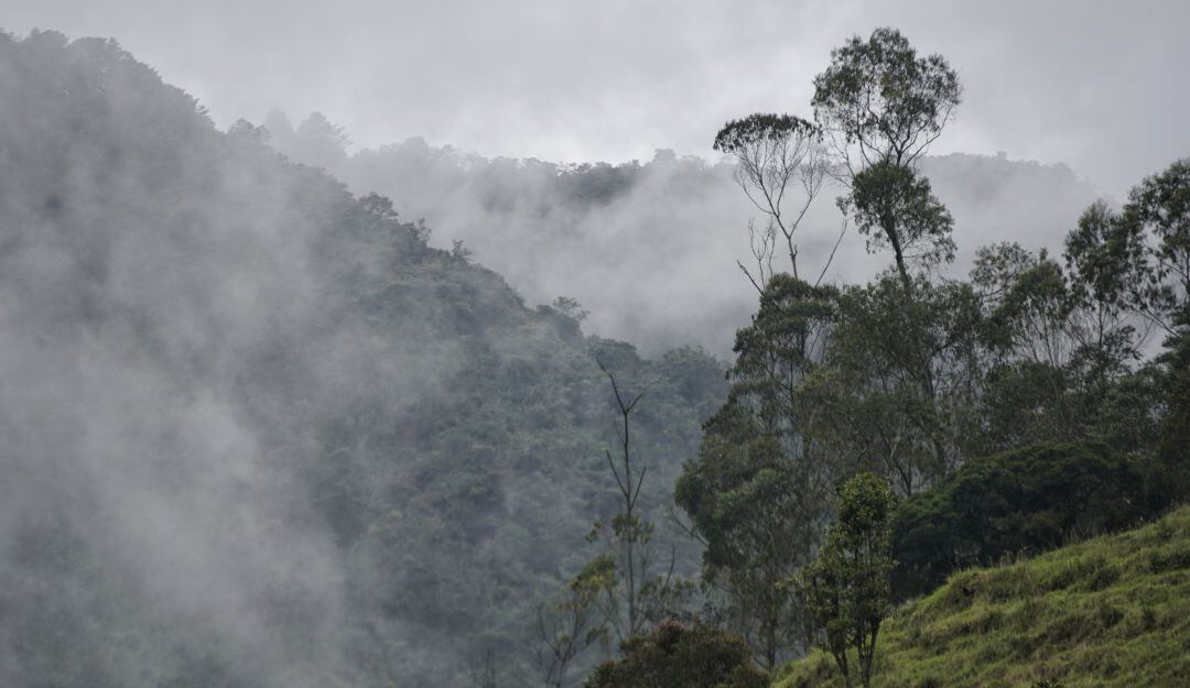 Imagen de referencia