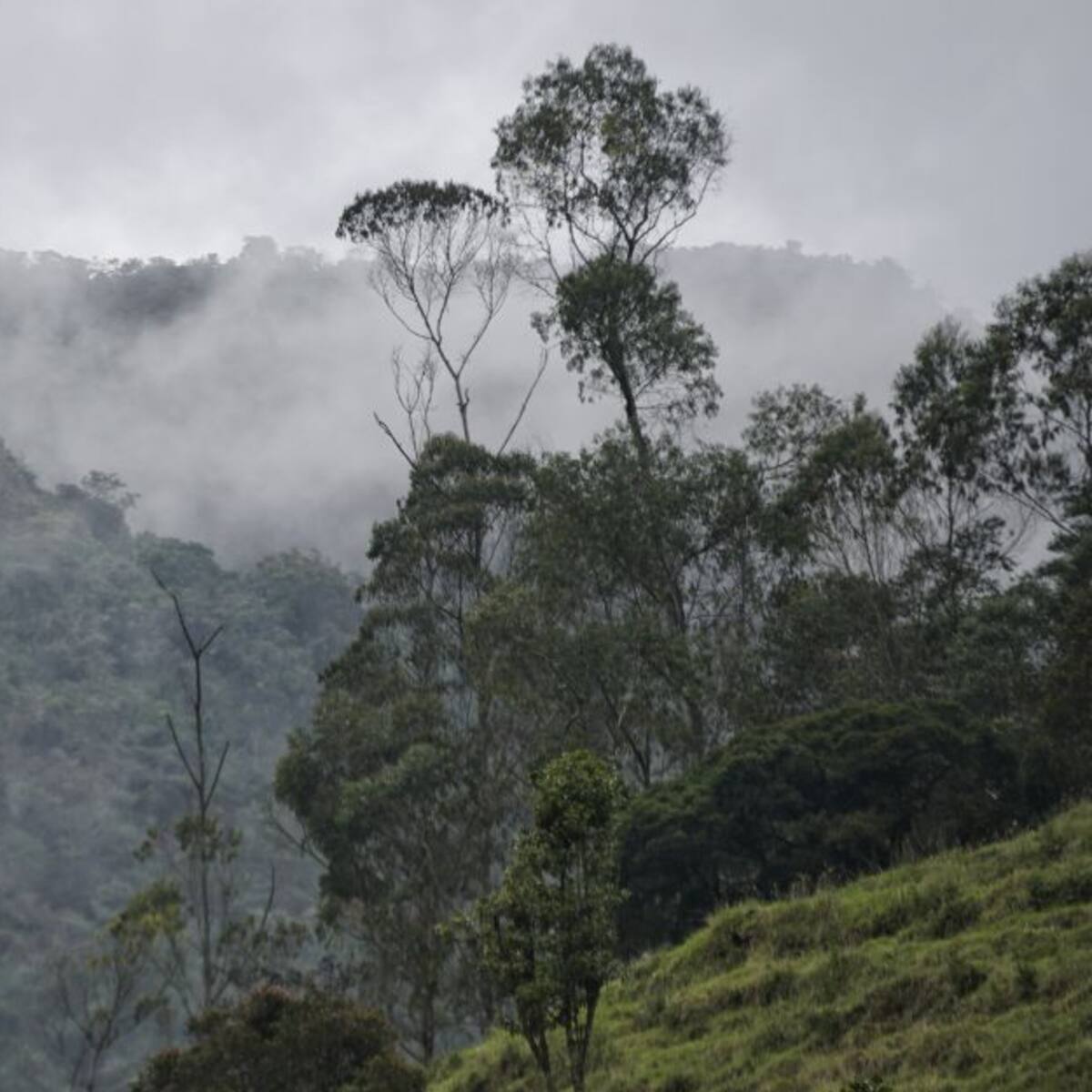 Boyacá vivirá la semana del medio ambiente 2022