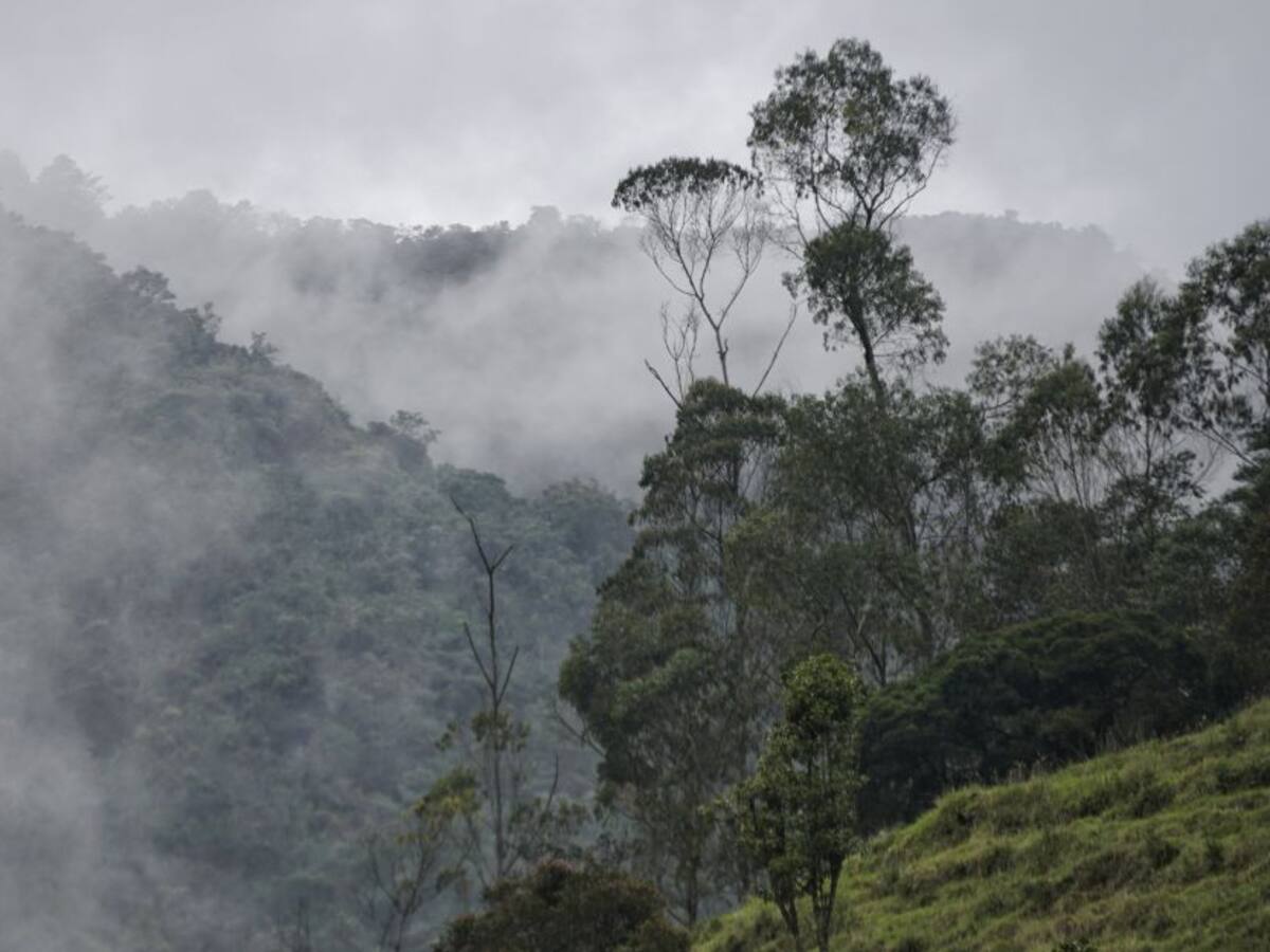Defensoría del Pueblo exige medidas para proteger el páramo de Iguaque