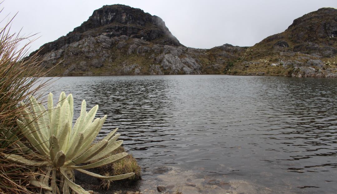 Páramo de Santurbán