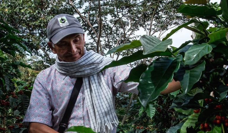 Imagen de referencia