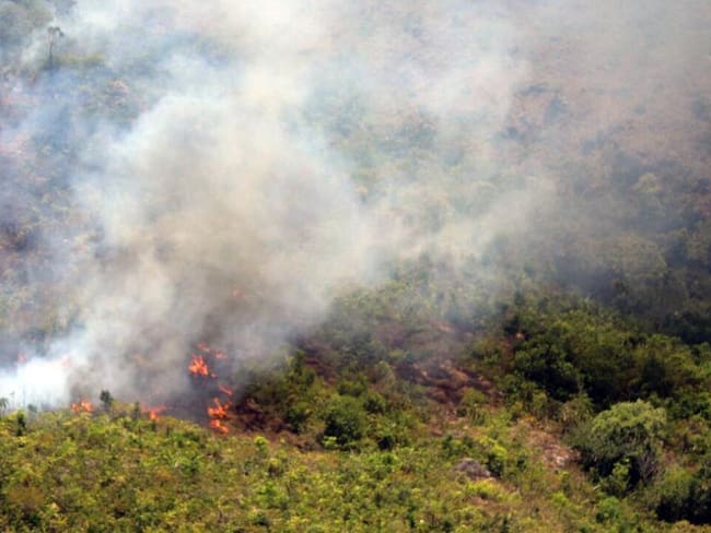 En los últimos 3 meses se han registrado 237 incendios forestales en Colombia