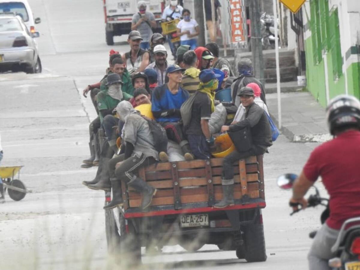 Algunos recolectores de café no estarían cumpliendo con medidas de COVID-19