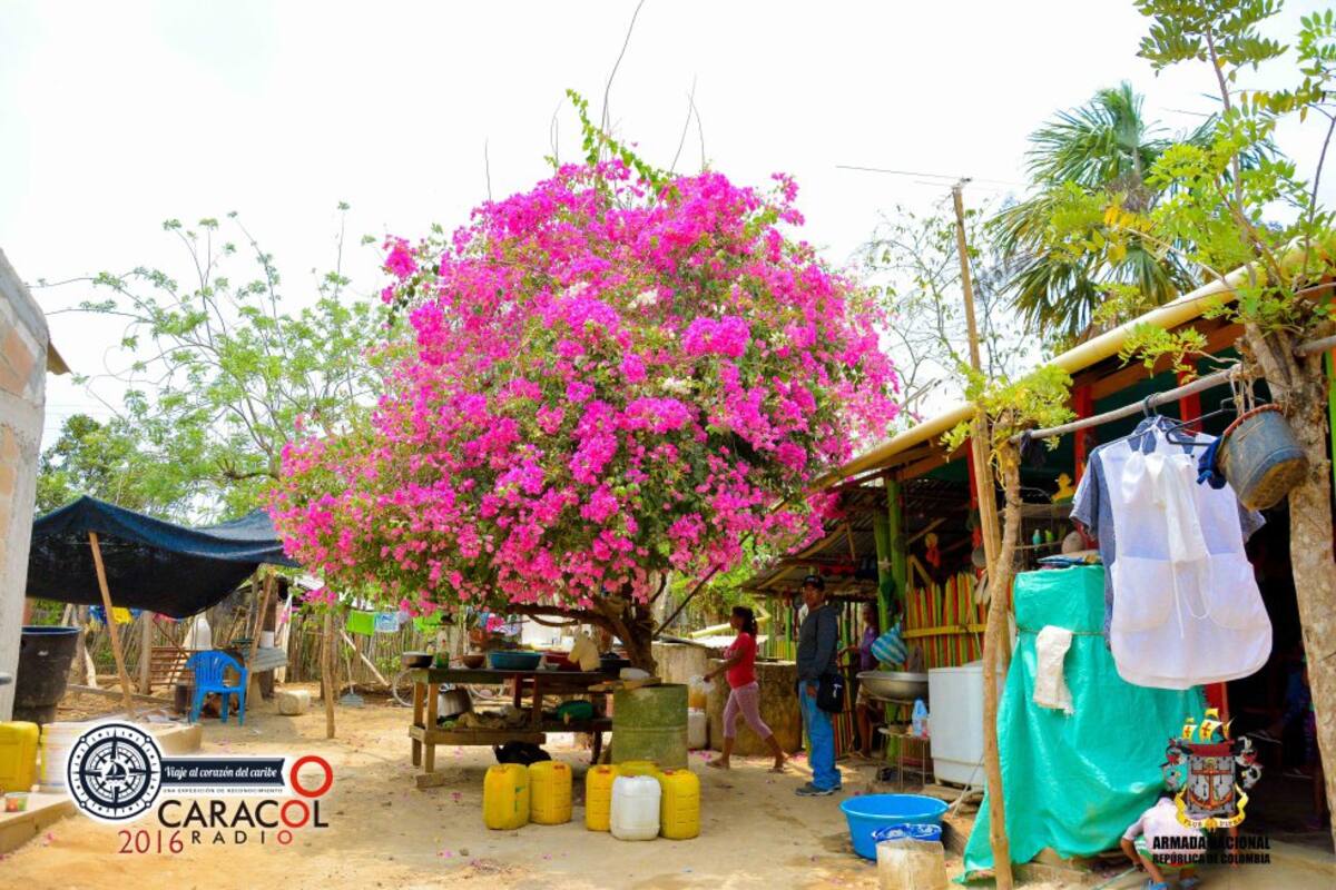 La expedición Viaje al Corazón del Caribe, de Caracol Radio y la Armada Nacional llegó a este corregimiento que vivió momentos de terror con la masacre del 2001. Hoy se respiran tiempos de tranquilidad, aunque no olvidan lo que sucedió.