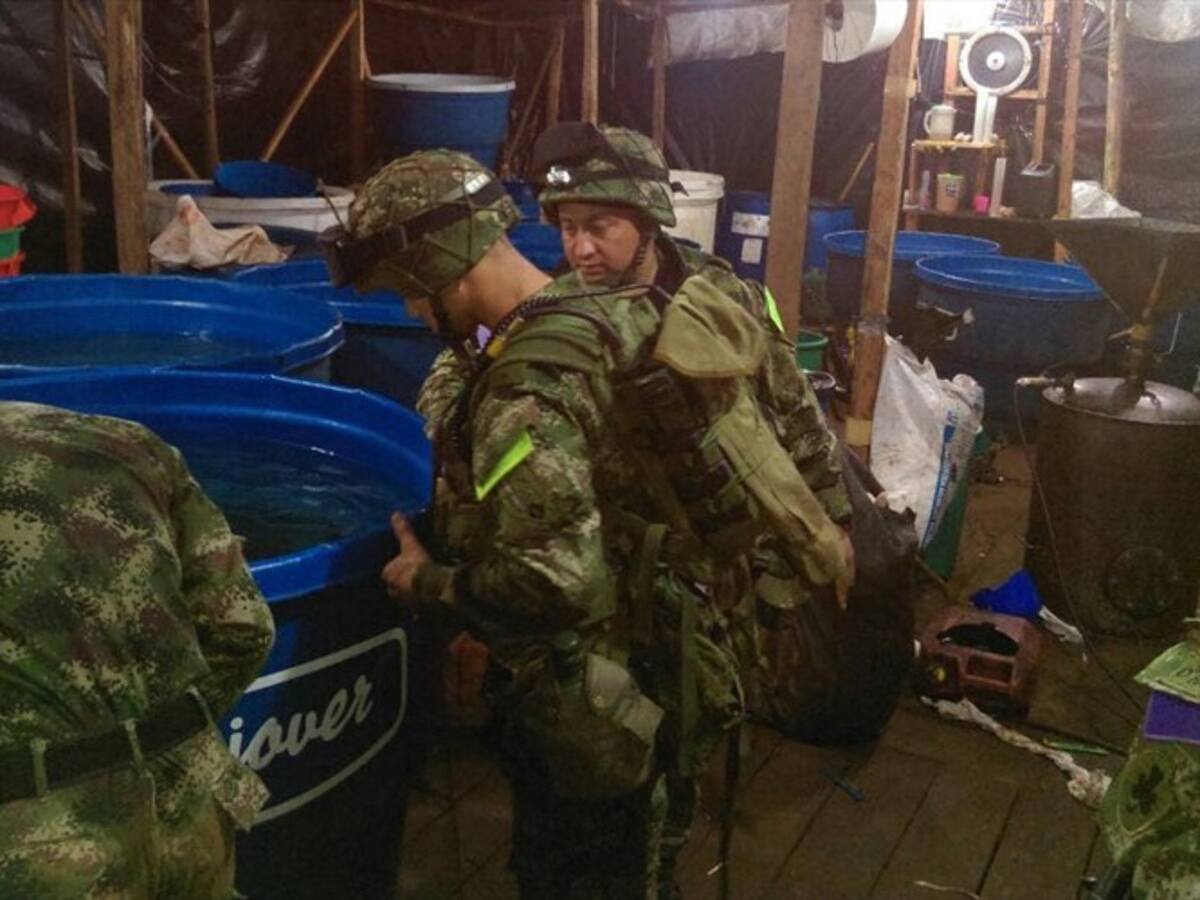 Destruyen complejo cocalero en Jamundí