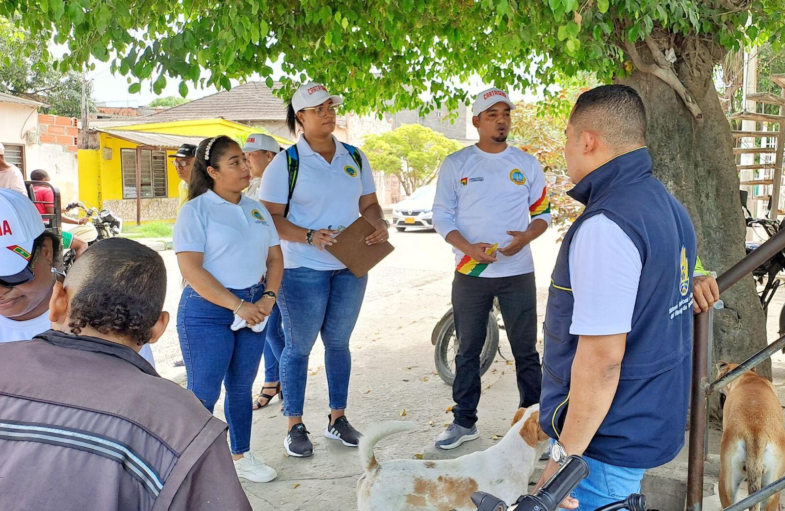 Alcaldía de Cartagena