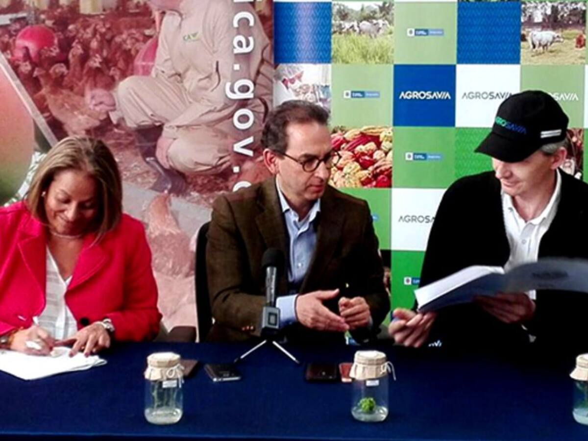 ICA y Agrosavía firmaron convenio para fortalecer competitividad campesina
