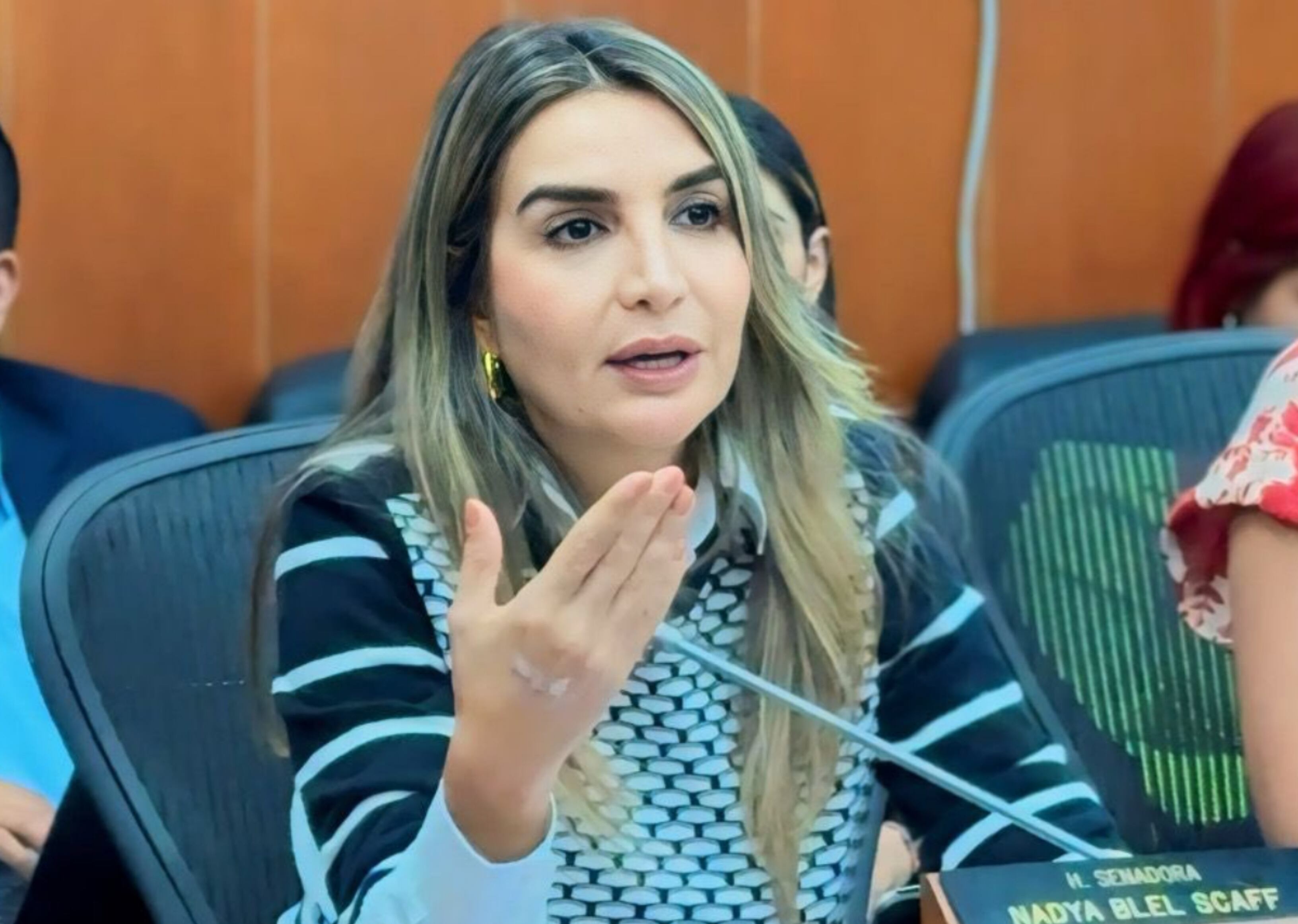 Nadia Blel | Foto: Congreso Prensa