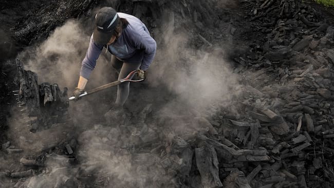 -FOTODELDIA- GRAFCAV3019. VILORIA, 11/09/2023.- En las faldas de la abrupta y vertiginosa sierra de Lokiz, todavía huele a carbón. Ese olor a leña cocida, que inundó el pueblo y todo el valle de Lana hasta mediados del siglo XX, ahora solo proviene de las carboneras de Miguel que ayudado por su mujer Mertxe y su hijo Arkaitz son los últimos carboneros que realizan tan ancestral oficio. Aprovechan el verano para cocer madera de encina como se hacía antaño, orgullo identitario del valle. El carbón que se produce de la madera de los encinares comunales de la zona será combustible en los mejores asadores de todo el país. Una carbonera de estas dimensiones tarda en cocerse unos 15 días durante los que hay que vigilarla continuamente e ir añadiéndole “betagarri“ (madera para que no se produzcan vacíos). EFE/ Jesús Diges