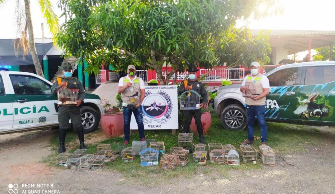 En mercado de Bazurto se logró la incautación de 24 aves