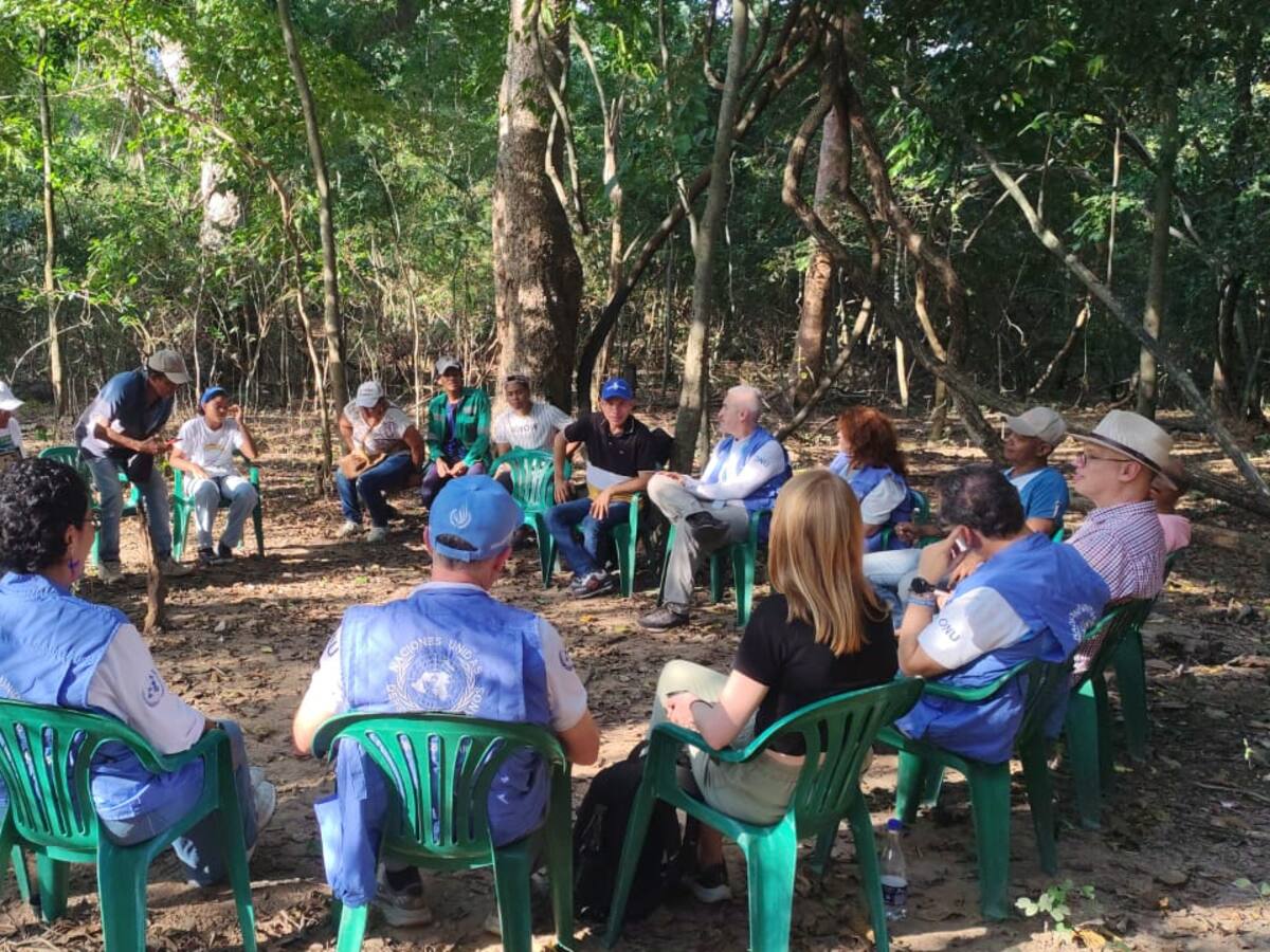 La ONU advierte de una “tragedia de derechos humanos” en la Sierra Nevada de Santa Marta