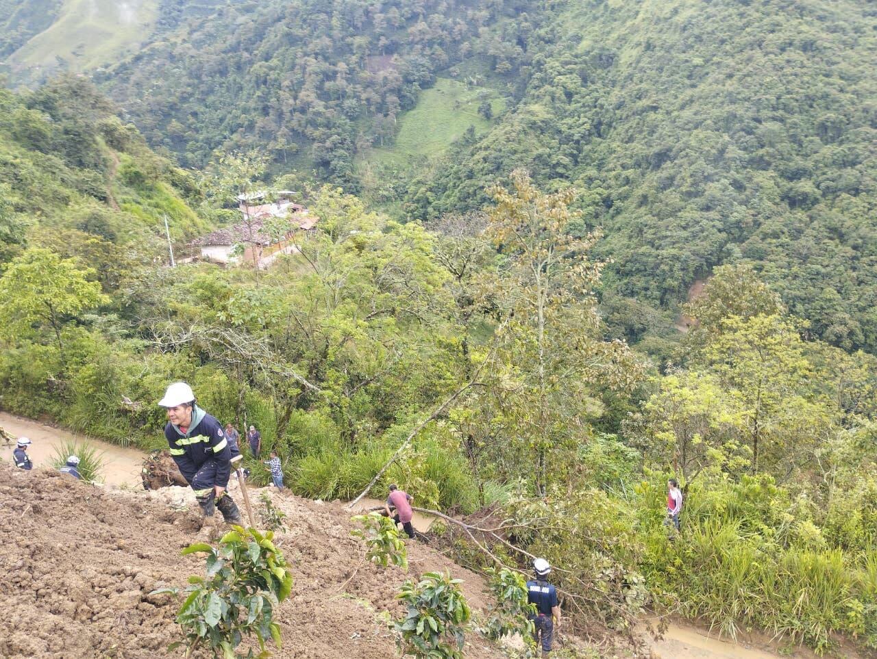 Fotografía suministrada