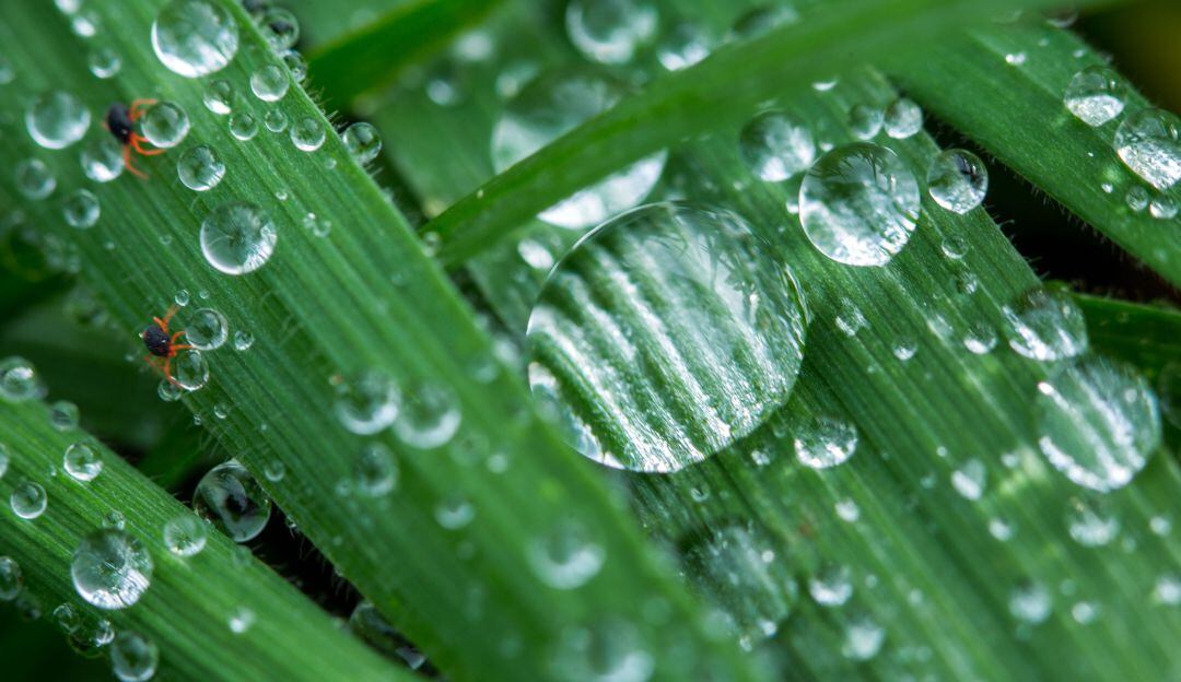 Agua en la naturaleza. Foto de referencia
