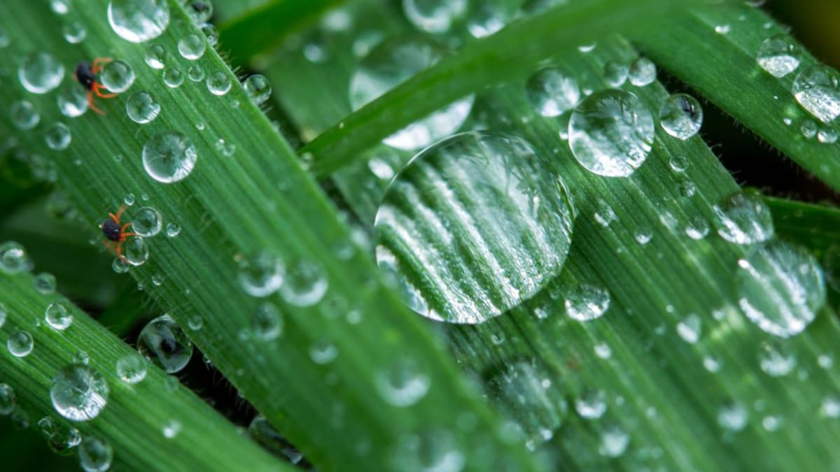 Invento colombiano para solucionar la falta de agua potable en el campo