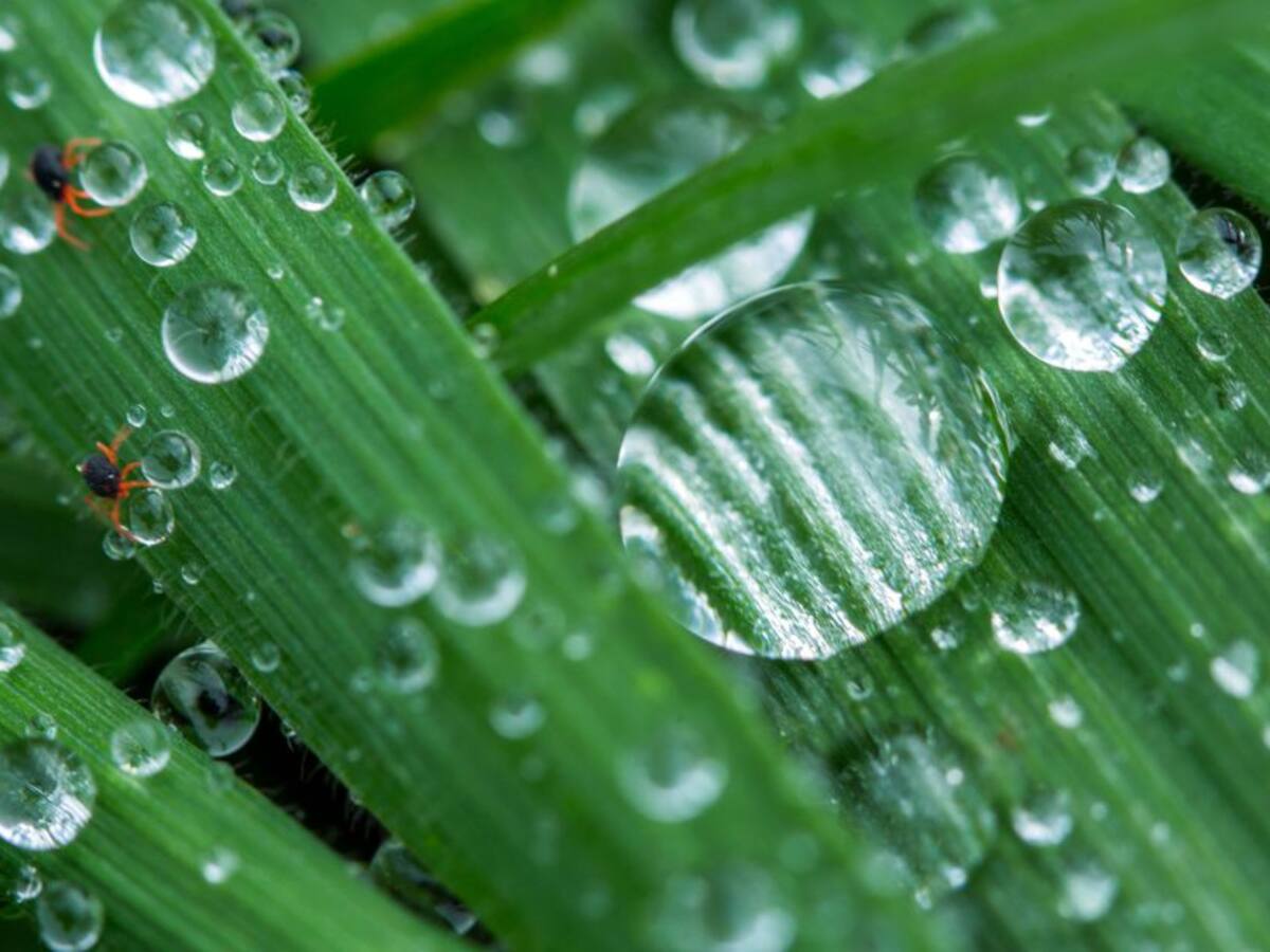 Invento colombiano para solucionar la falta de agua potable en el campo