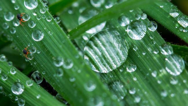 Agua en la naturaleza. Foto de referencia