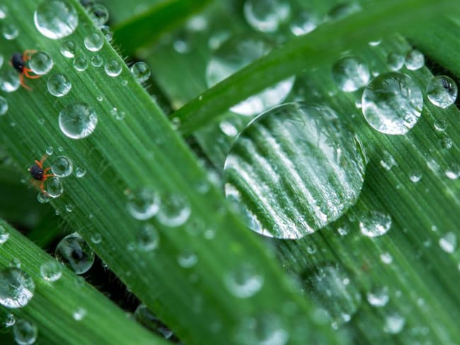 Agua en la naturaleza. Foto de referencia