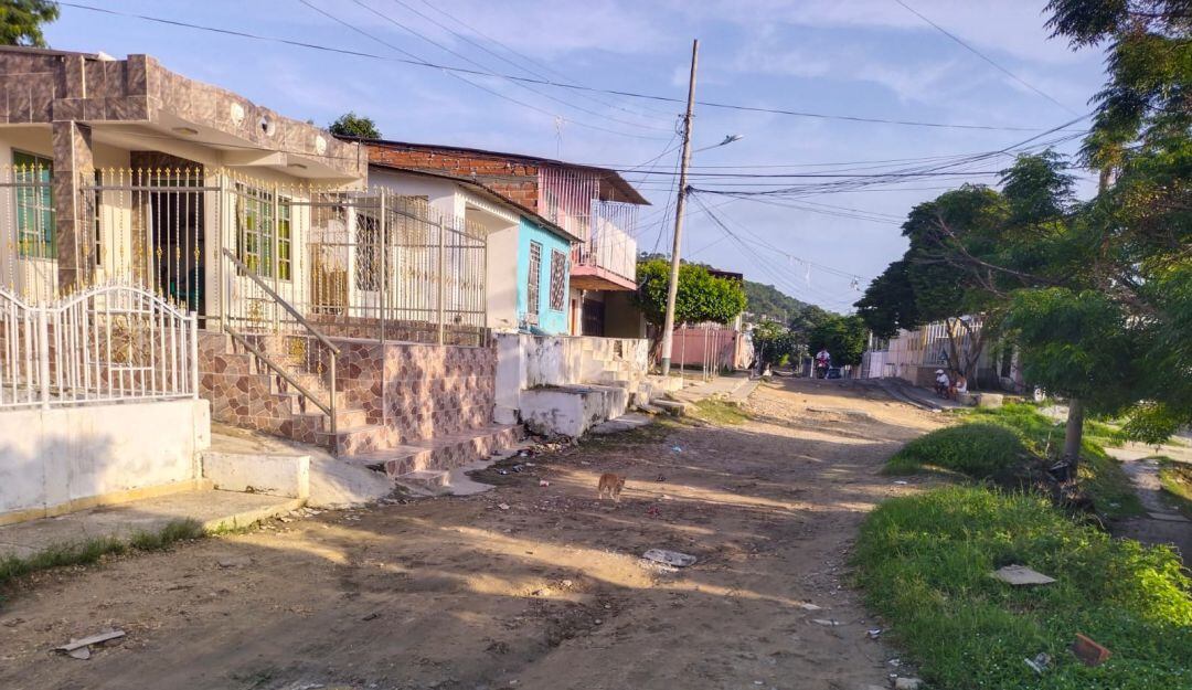 Denuncias por dengue