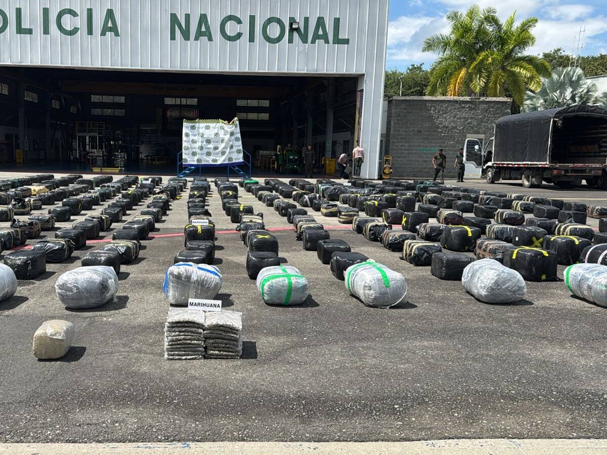 Golpe a disidencias Farc: incautan más de cuatro toneladas de marihuana en el Valle