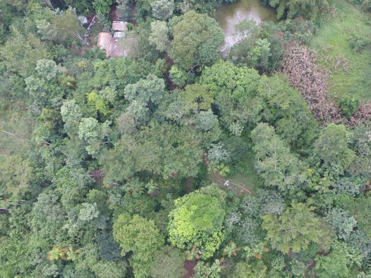 Córdoba cuenta con una nueva área protegida: La Zoconita