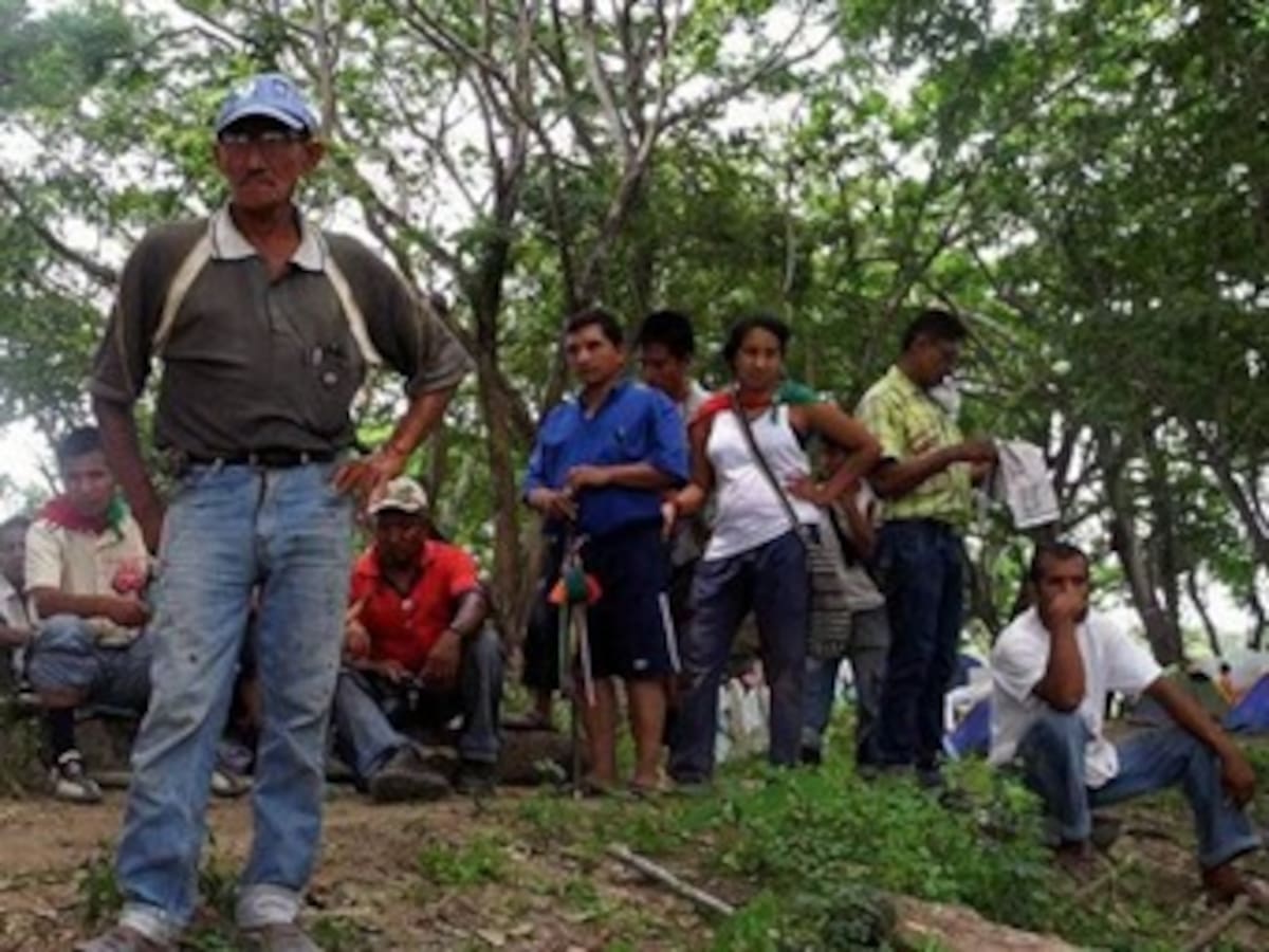 Solo 500 mil de cinco millones de campesinos están formalizados: Mintrabajo