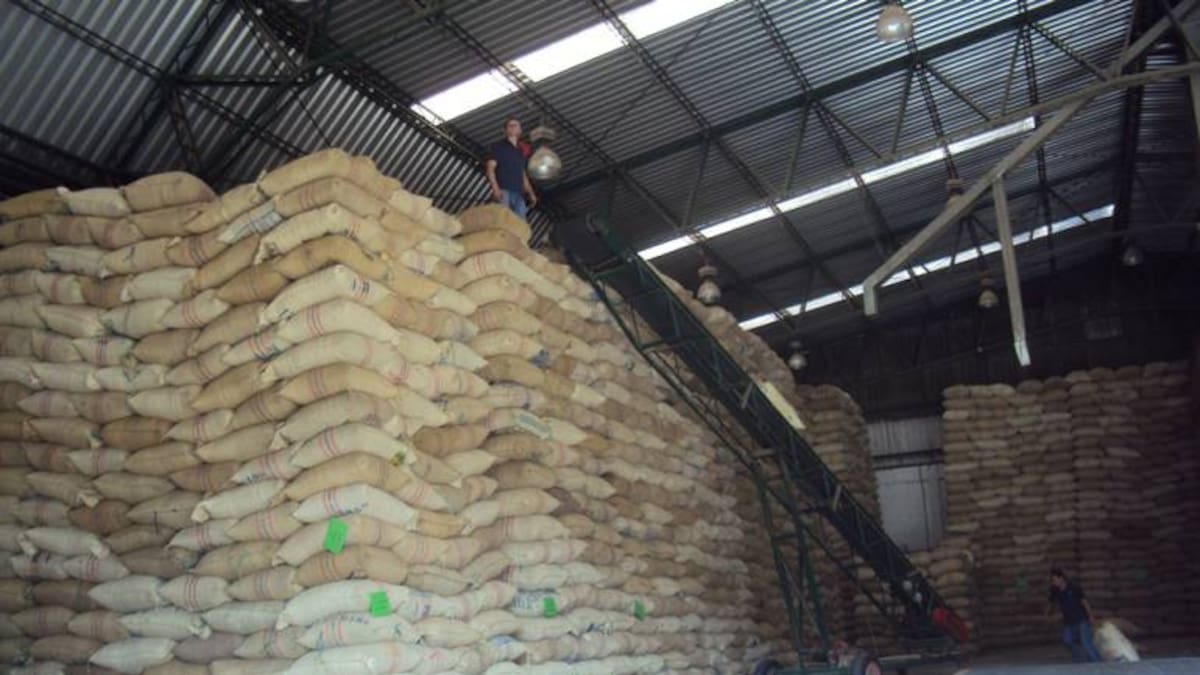 Millonario robo a la Cooperativa de Caficultores de Marquetalia