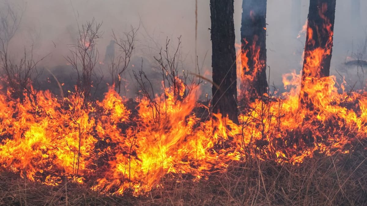 Las quemas a cielo abierto son un problema recurrente en las zonas rurales