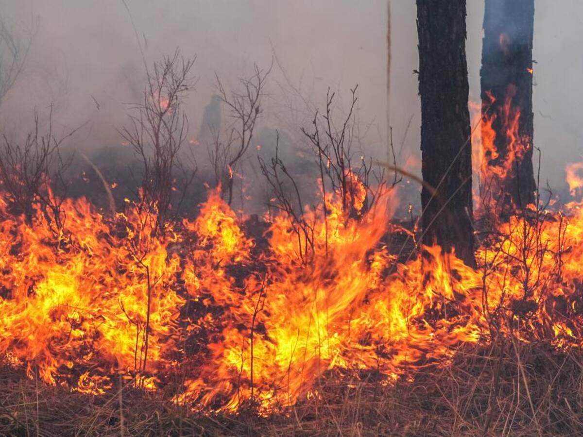 Las quemas a cielo abierto son un problema recurrente en las zonas rurales