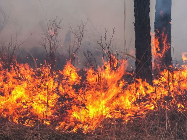 Las quemas a cielo abierto son un problema recurrente en las zonas rurales