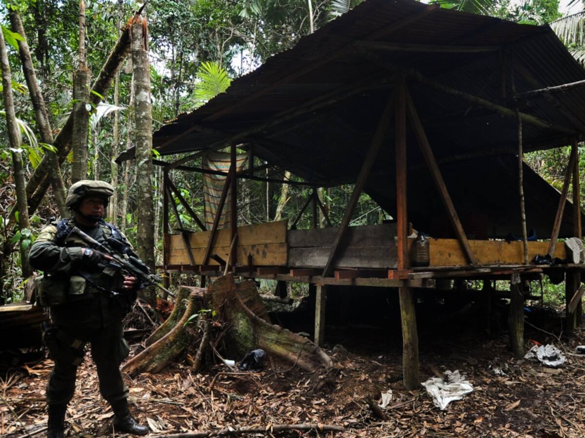 "Colombia presentó una reducción del 9% en cultivos de coca": ONU
