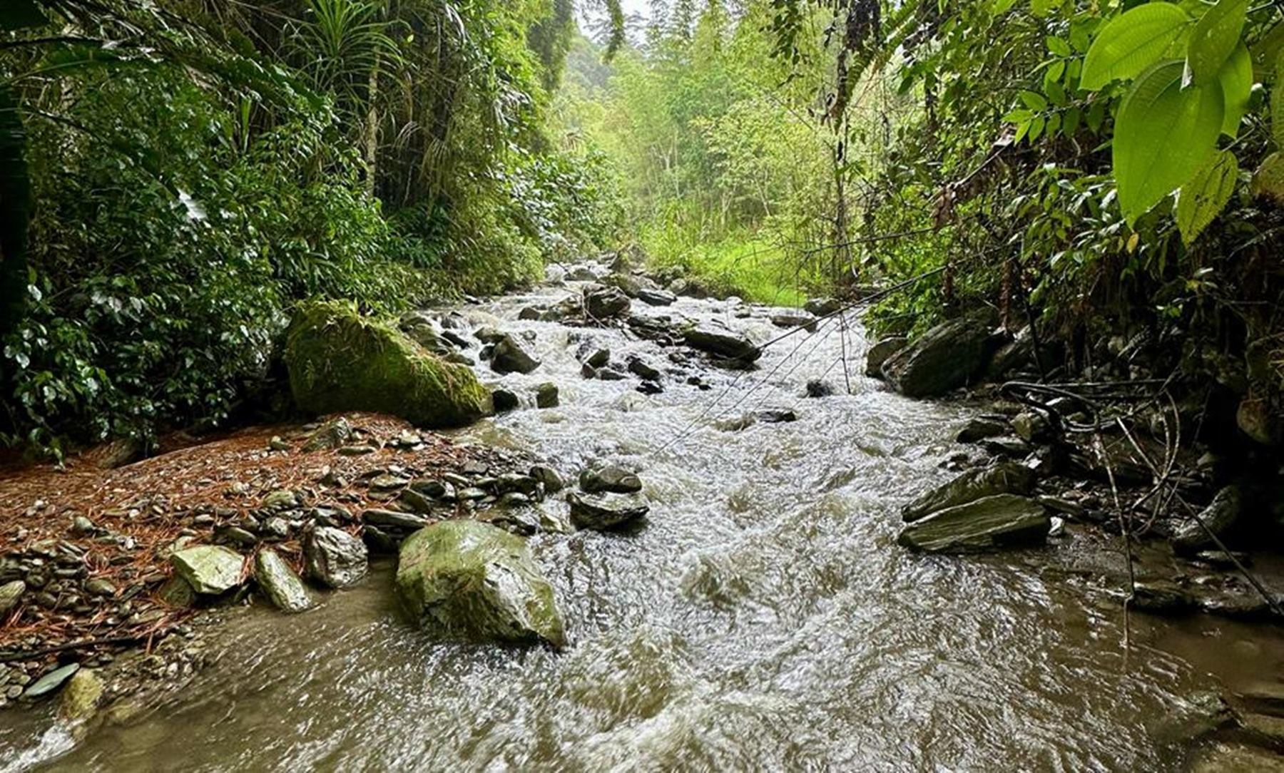 Quebrada Corazón - Ibagué