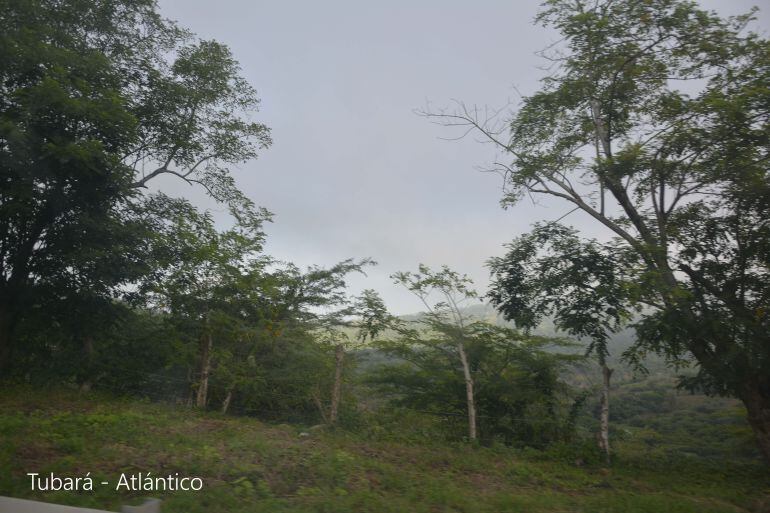 Zona rural del Municipio de Tubará.