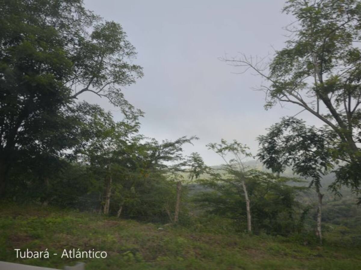 Un rayo mató a un campesino en Tubará, Atlántico