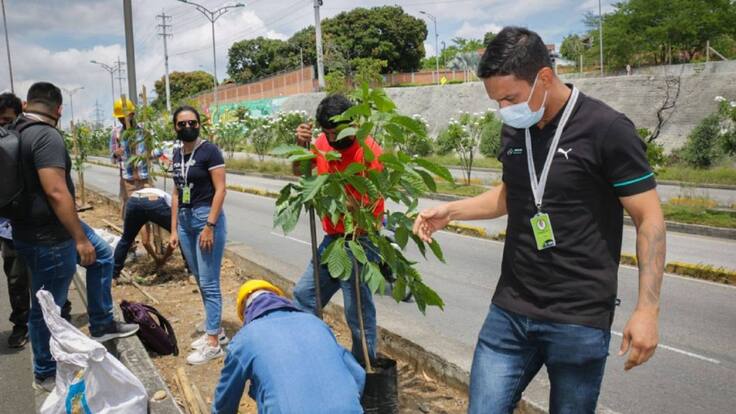 Inició recuperación de separadores en la autopista a Floridablanca