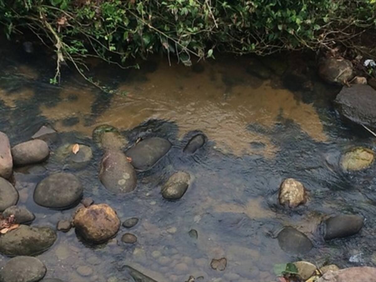 El agua enferma del Chocó
