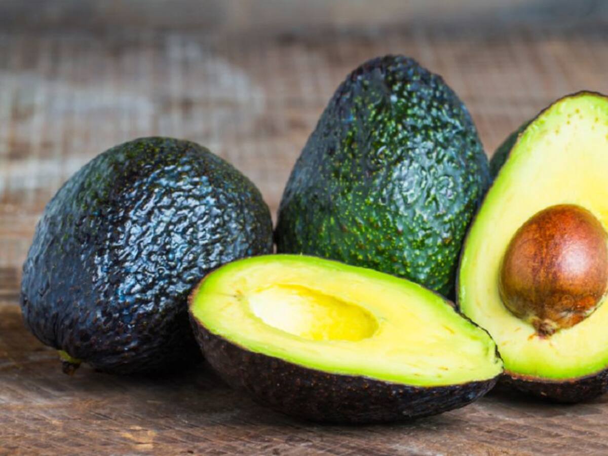 Productores de hass se reúnen esta semana en Territorio Aguacate