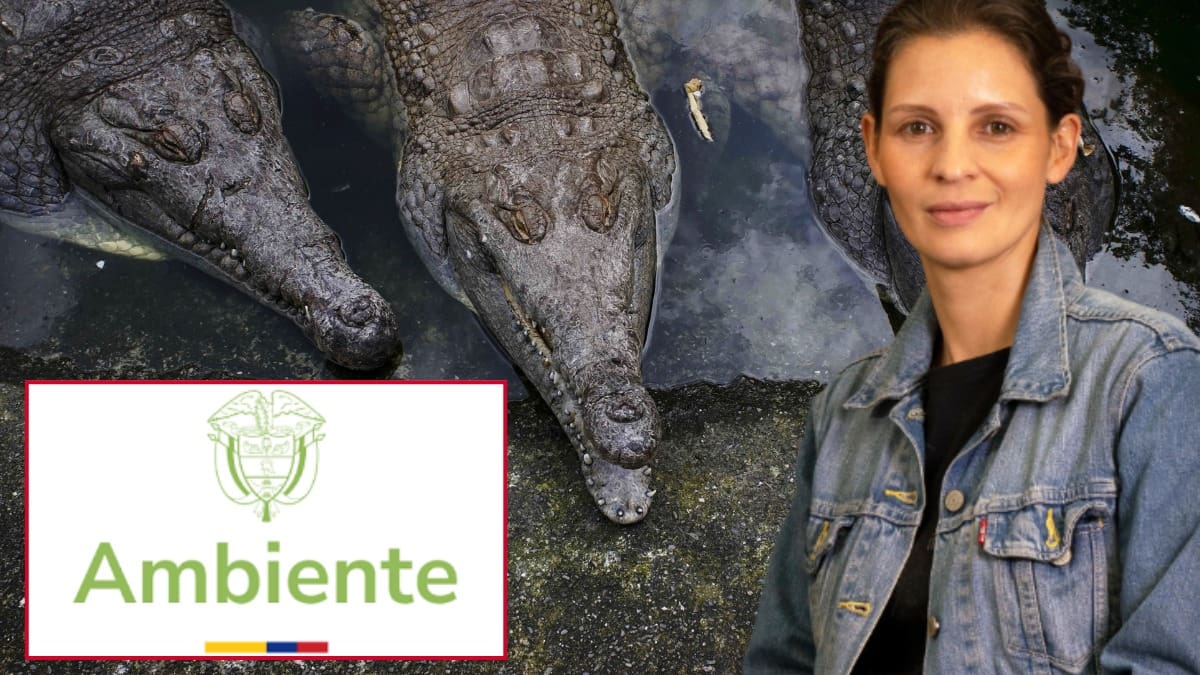 Senadora Andrea Padilla - Denuncia