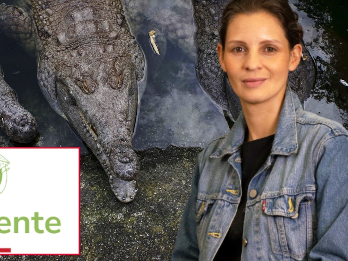 Polémica por cocodrilos del Orinoco: Andrea Padilla denuncia que ya van 16 ejemplares muertos