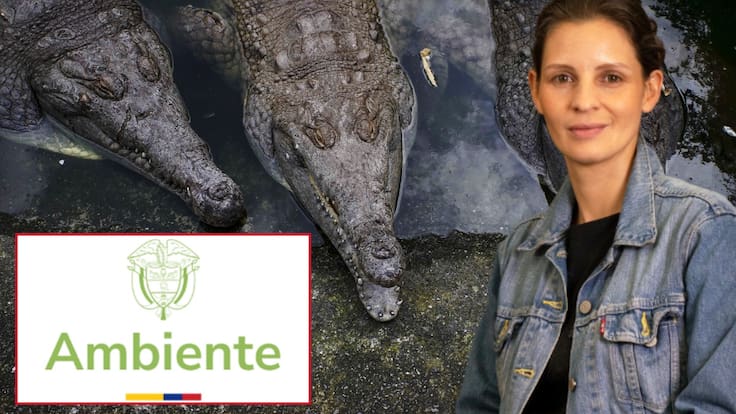 Senadora Andrea Padilla - Denuncia