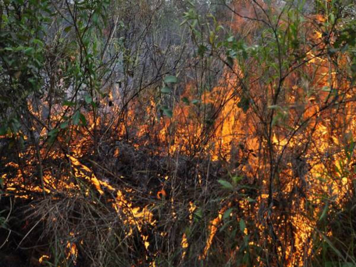 Activan alerta roja por posibles incendios forestales en 118 municipios de Boyacá