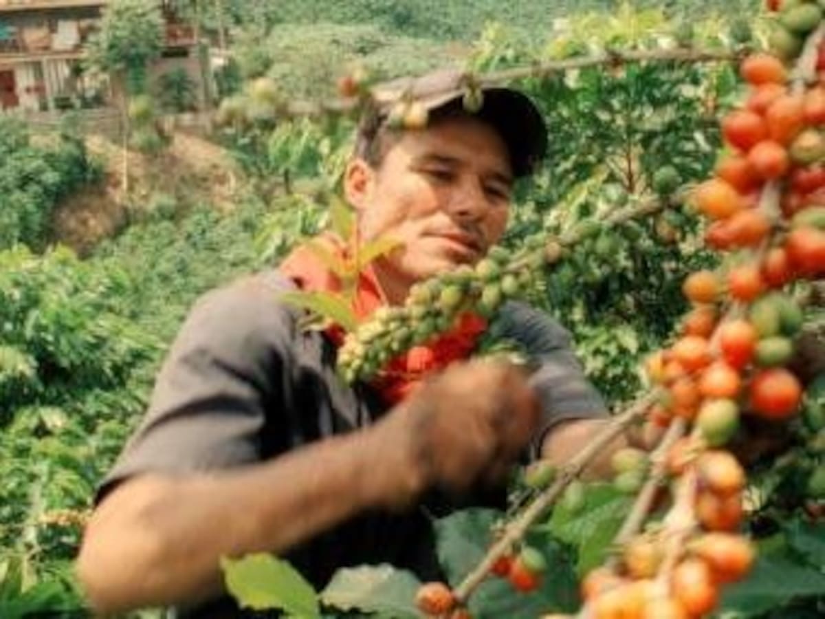 La economía colombiana en octubre reportó un crecimiento del 2.94%